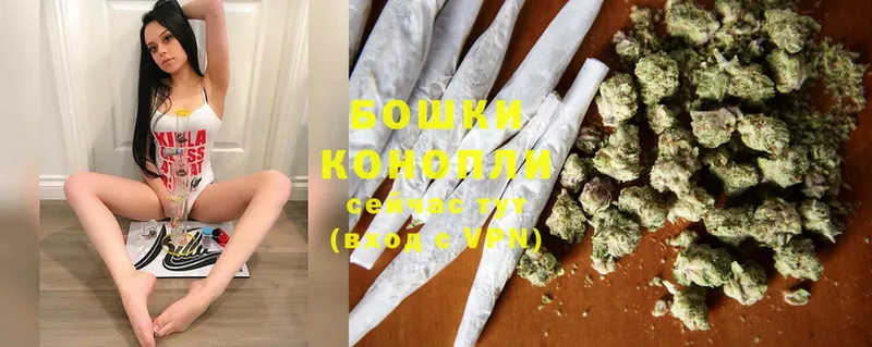 дарнет шоп  Выборг  Канабис SATIVA & INDICA 